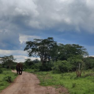 Race Around Rwanda Safari